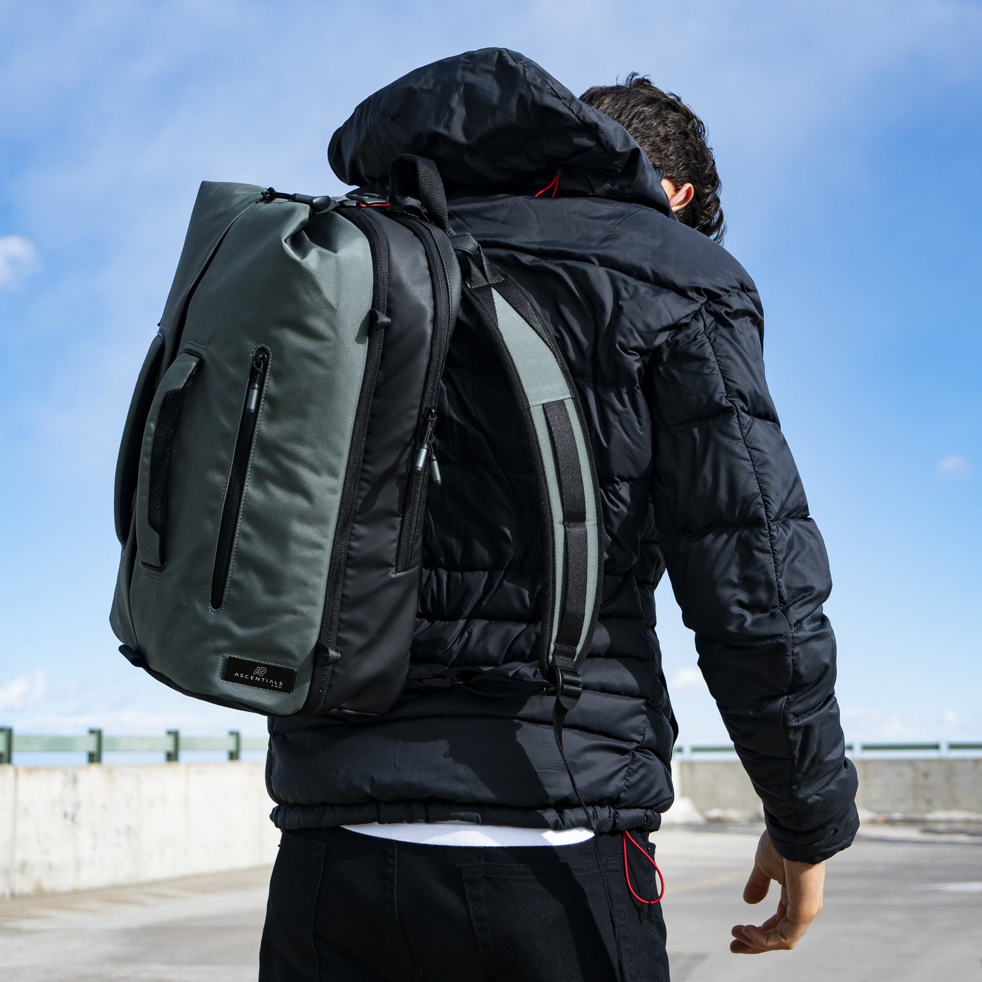 At shop ap backpack